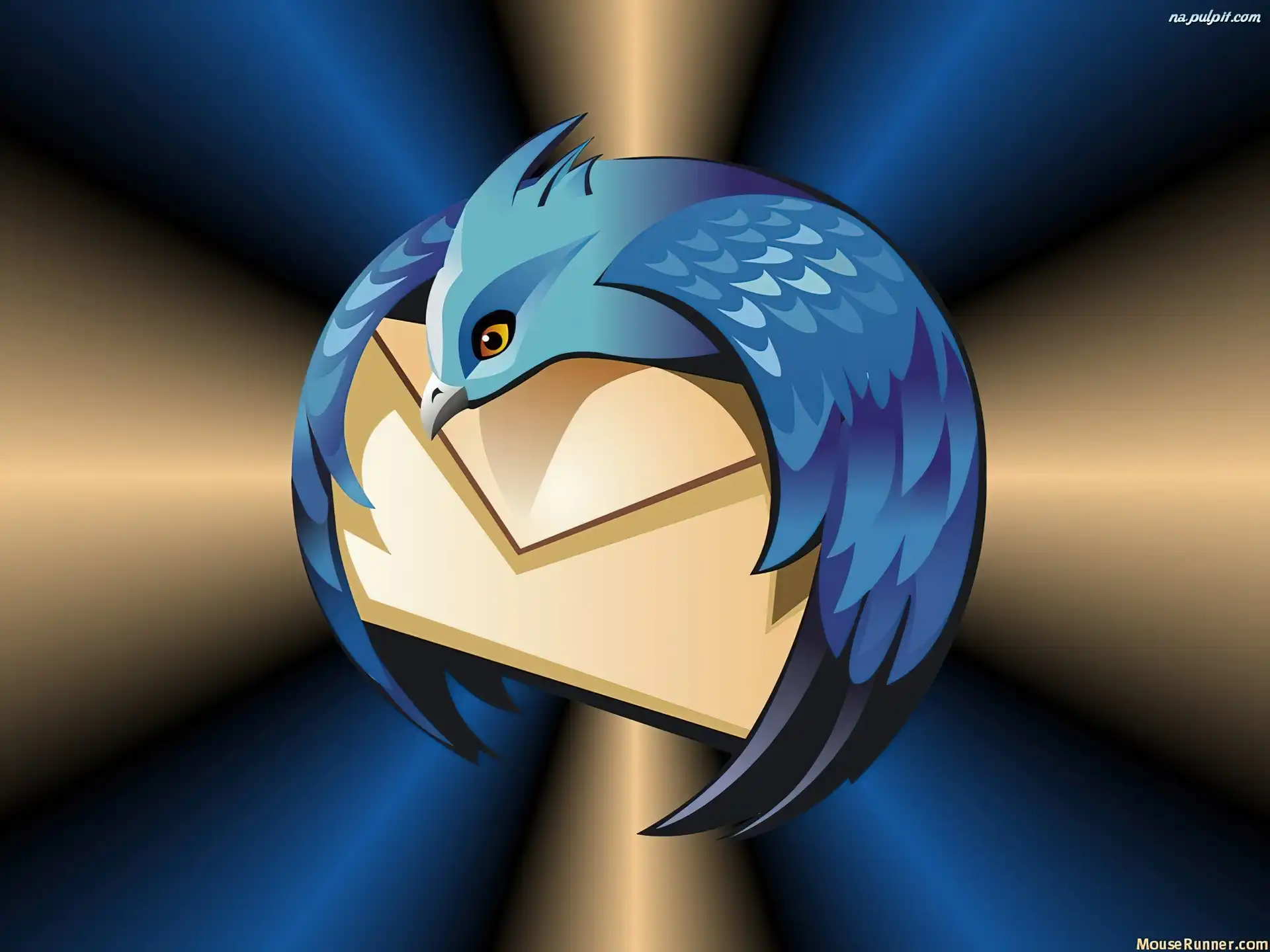 ptak, koperta, Thunderbird, grafika
